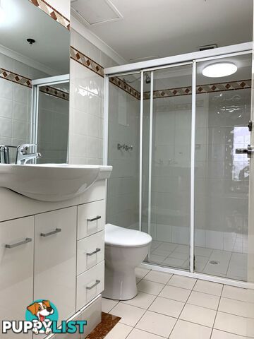 Apartment 356/303 Castlereagh Street SYDNEY NSW 2000