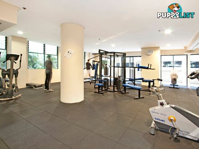 Apartment 356/303 Castlereagh Street SYDNEY NSW 2000