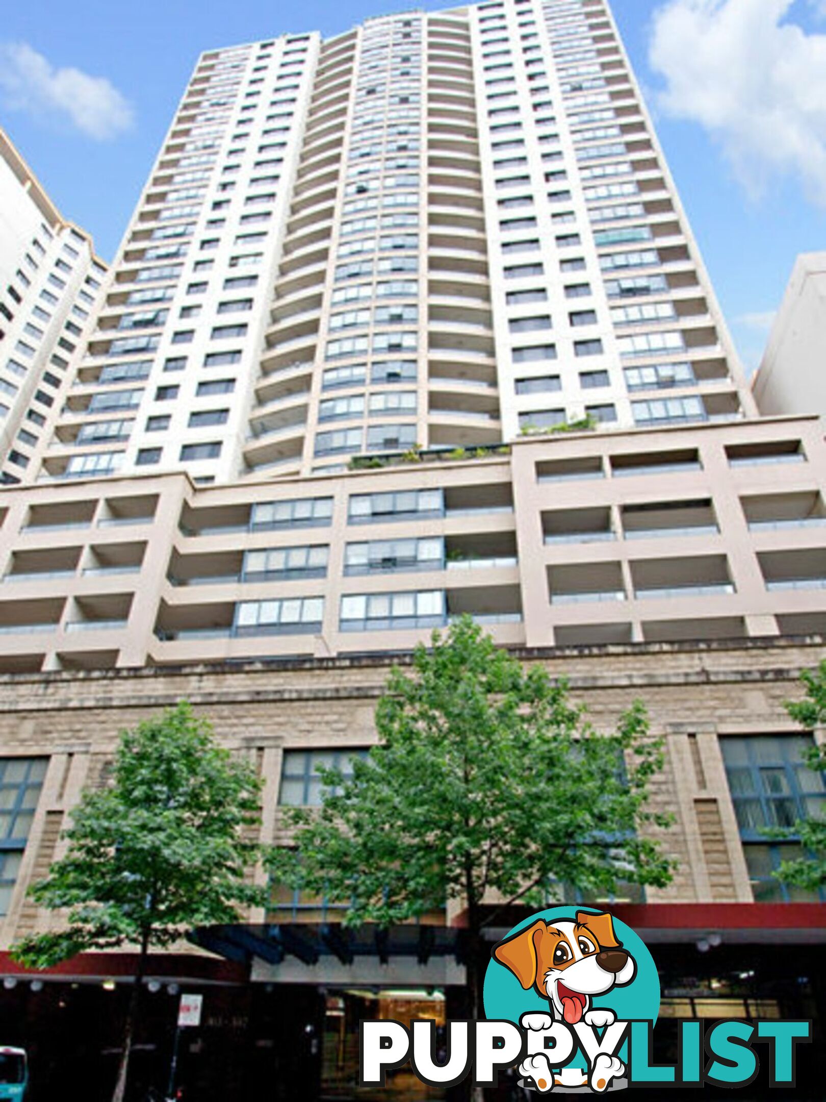 Apartment 356/303 Castlereagh Street SYDNEY NSW 2000