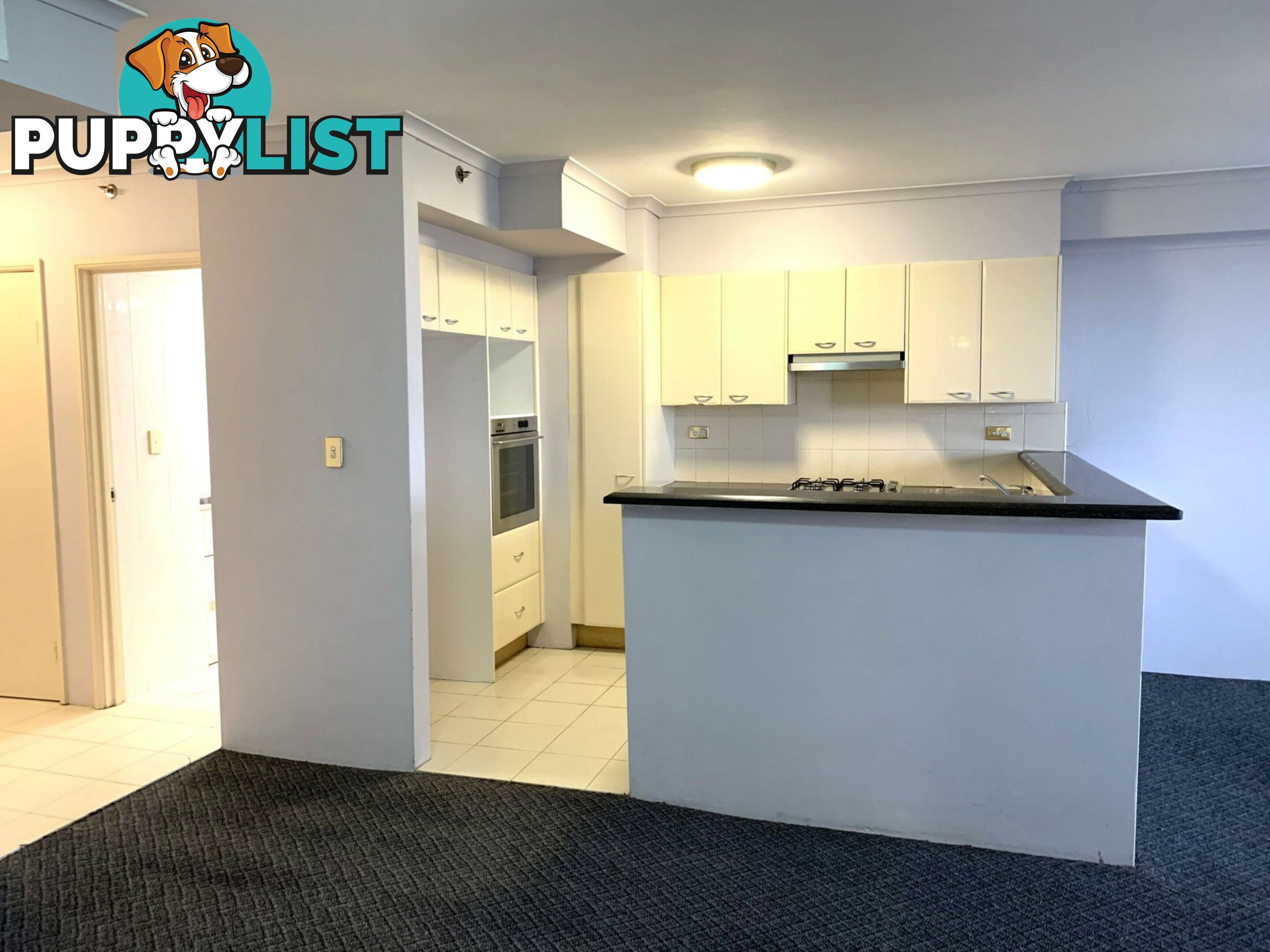 Apartment 356/303 Castlereagh Street SYDNEY NSW 2000