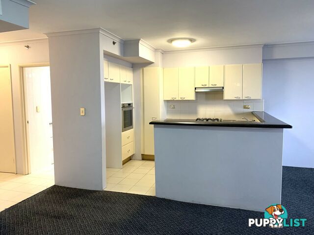 Apartment 356/303 Castlereagh Street SYDNEY NSW 2000