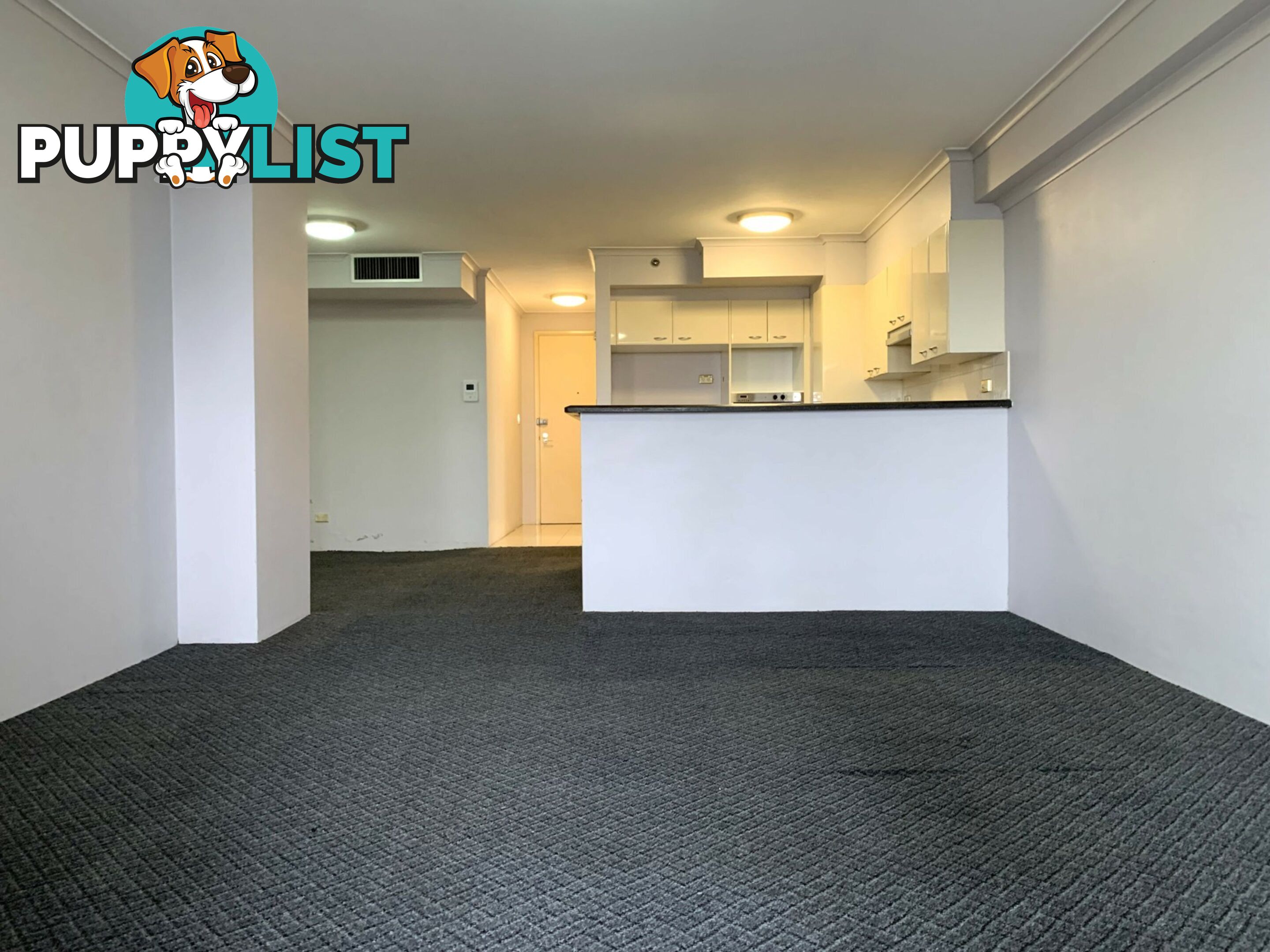 Apartment 356/303 Castlereagh Street SYDNEY NSW 2000