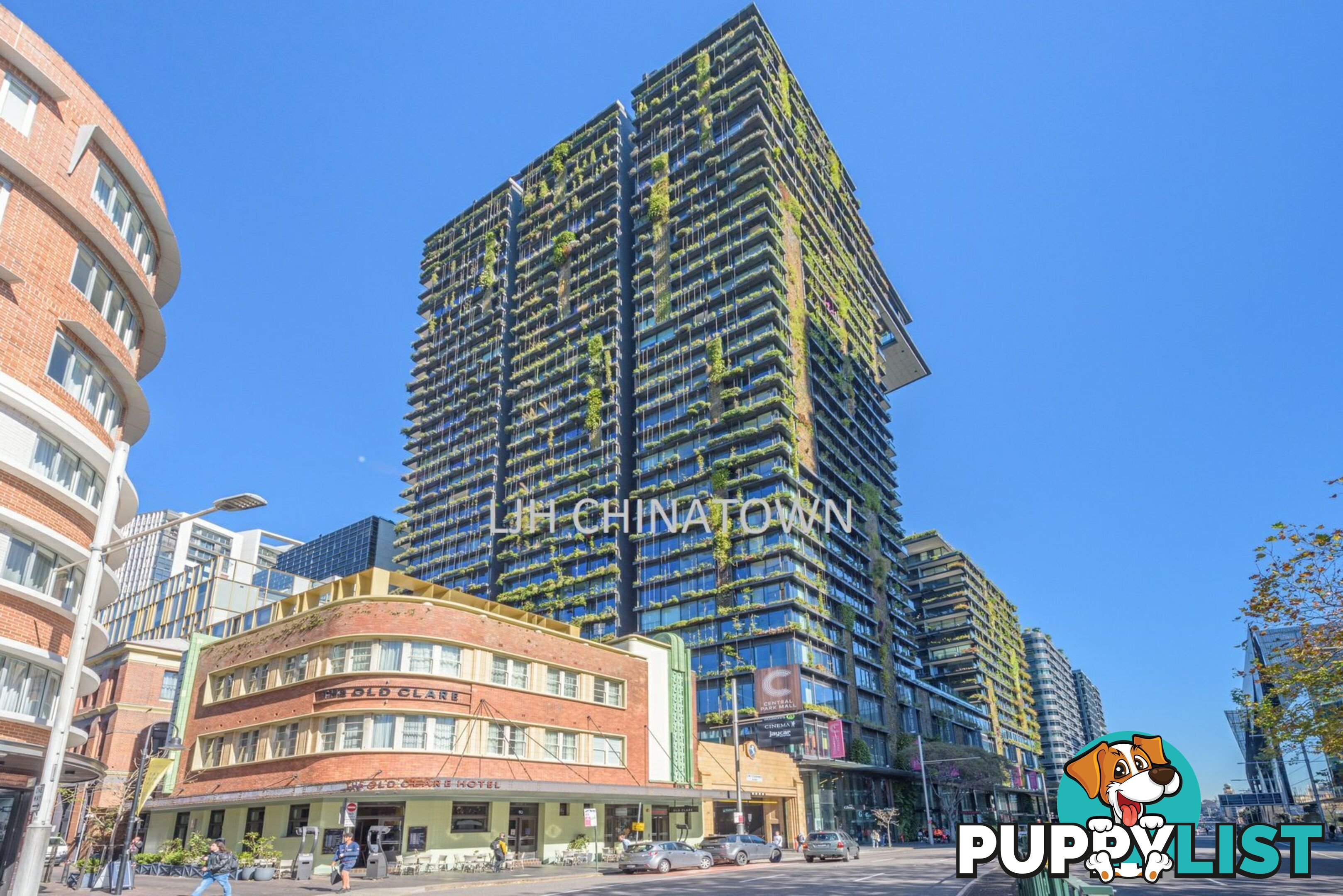 Apartment 2104/3 Carlton Street CHIPPENDALE NSW 2008