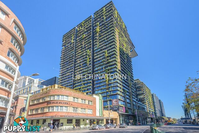 Apartment 2104/3 Carlton Street CHIPPENDALE NSW 2008