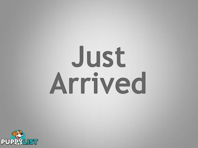 2007 MAZDA MAZDA3 MAXX BKMY06UPGRADE 4D SEDAN