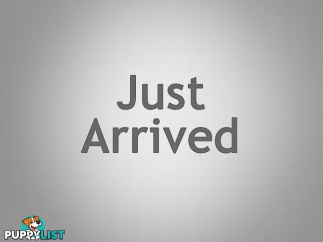 2012 FORD TERRITORY TX(4X4) SZ 4D WAGON