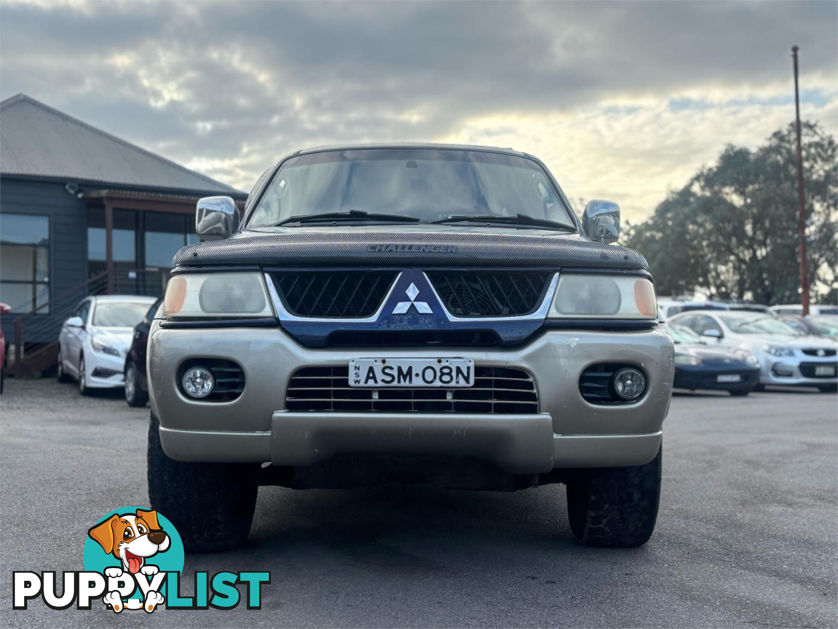 2004 MITSUBISHI CHALLENGER LS(4X4) PA MY04 4D WAGON