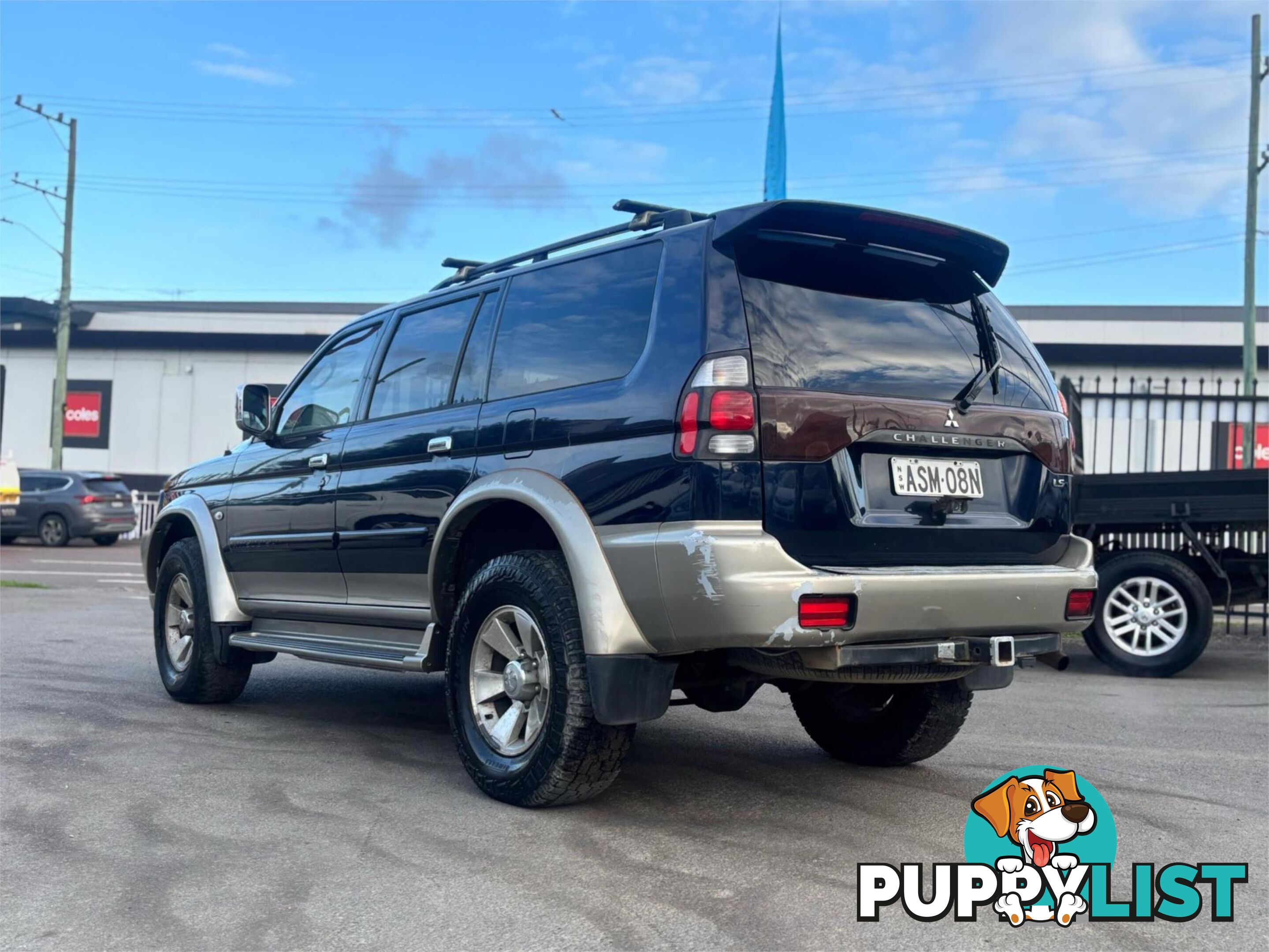 2004 MITSUBISHI CHALLENGER LS(4X4) PA MY04 4D WAGON