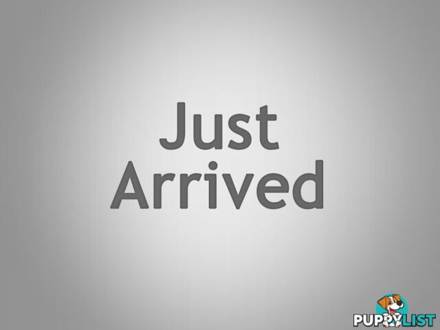 2009 HYUNDAI I30 CWSPORTSWAGON2 0 FDMY09 4D WAGON