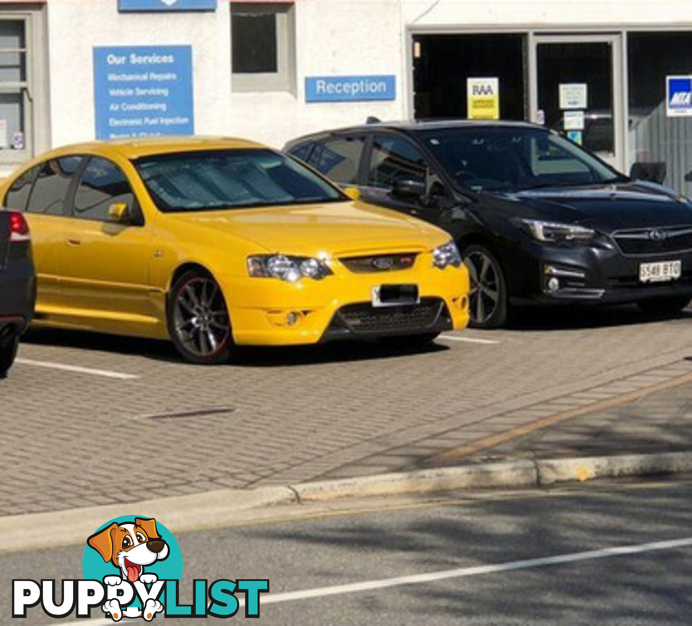 2006 FPV F6 Typhoon Sedan Manual