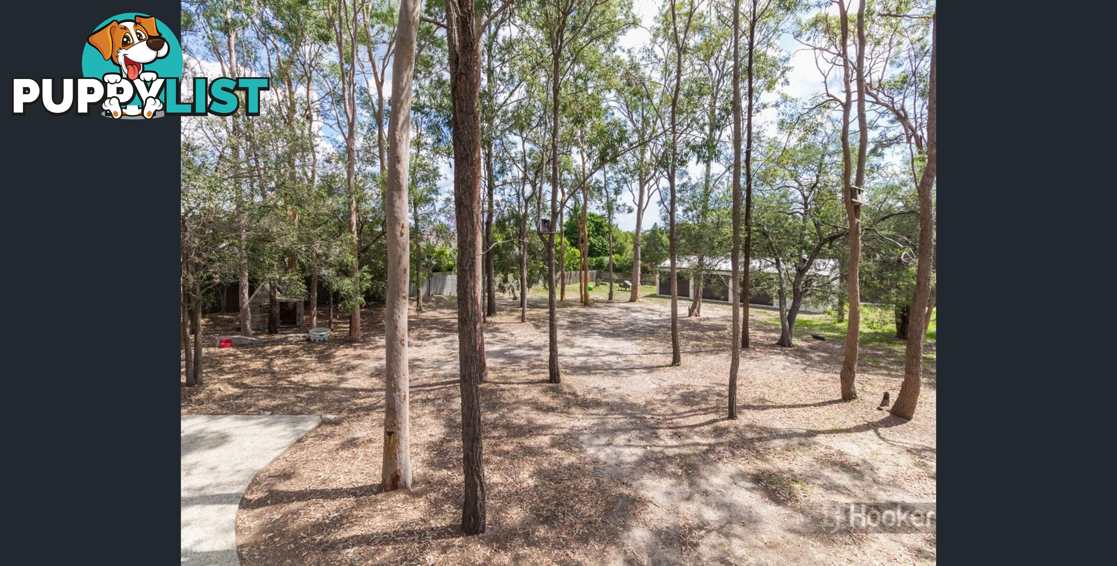 57 Rudyard Street FOREST LAKE QLD 4078