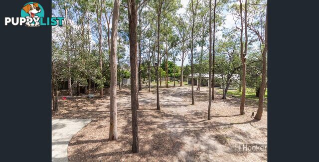 57 Rudyard Street FOREST LAKE QLD 4078