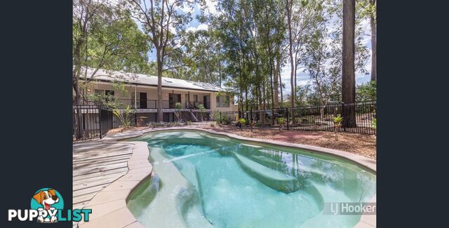 57 Rudyard Street FOREST LAKE QLD 4078