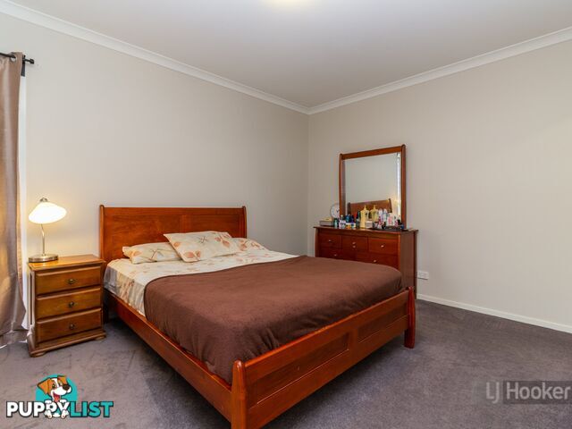 61 Anesbury Street DOOLANDELLA QLD 4077