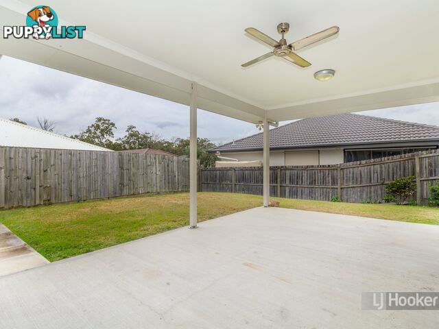 61 Anesbury Street DOOLANDELLA QLD 4077