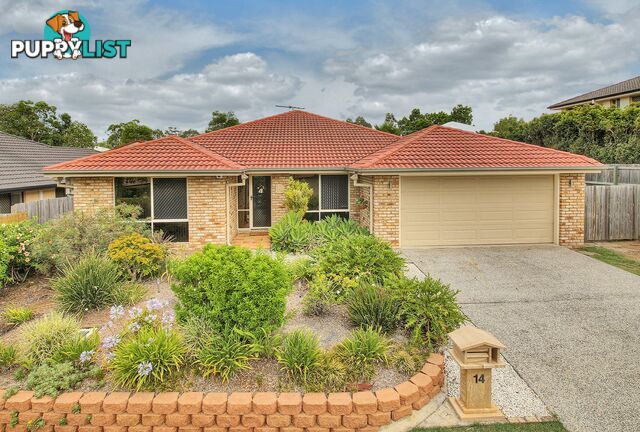 14 Desoto Place FOREST LAKE QLD 4078