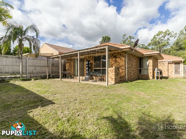 46 Glasshouse Crescent FOREST LAKE QLD 4078