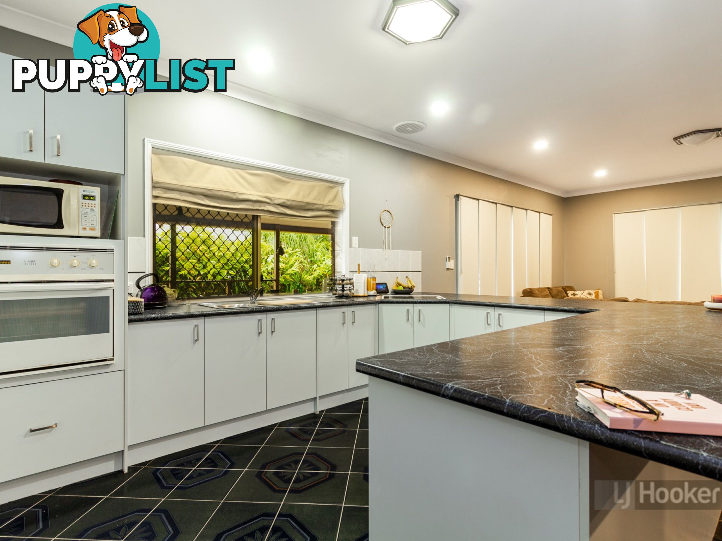 19 Teasel Crescent FOREST LAKE QLD 4078