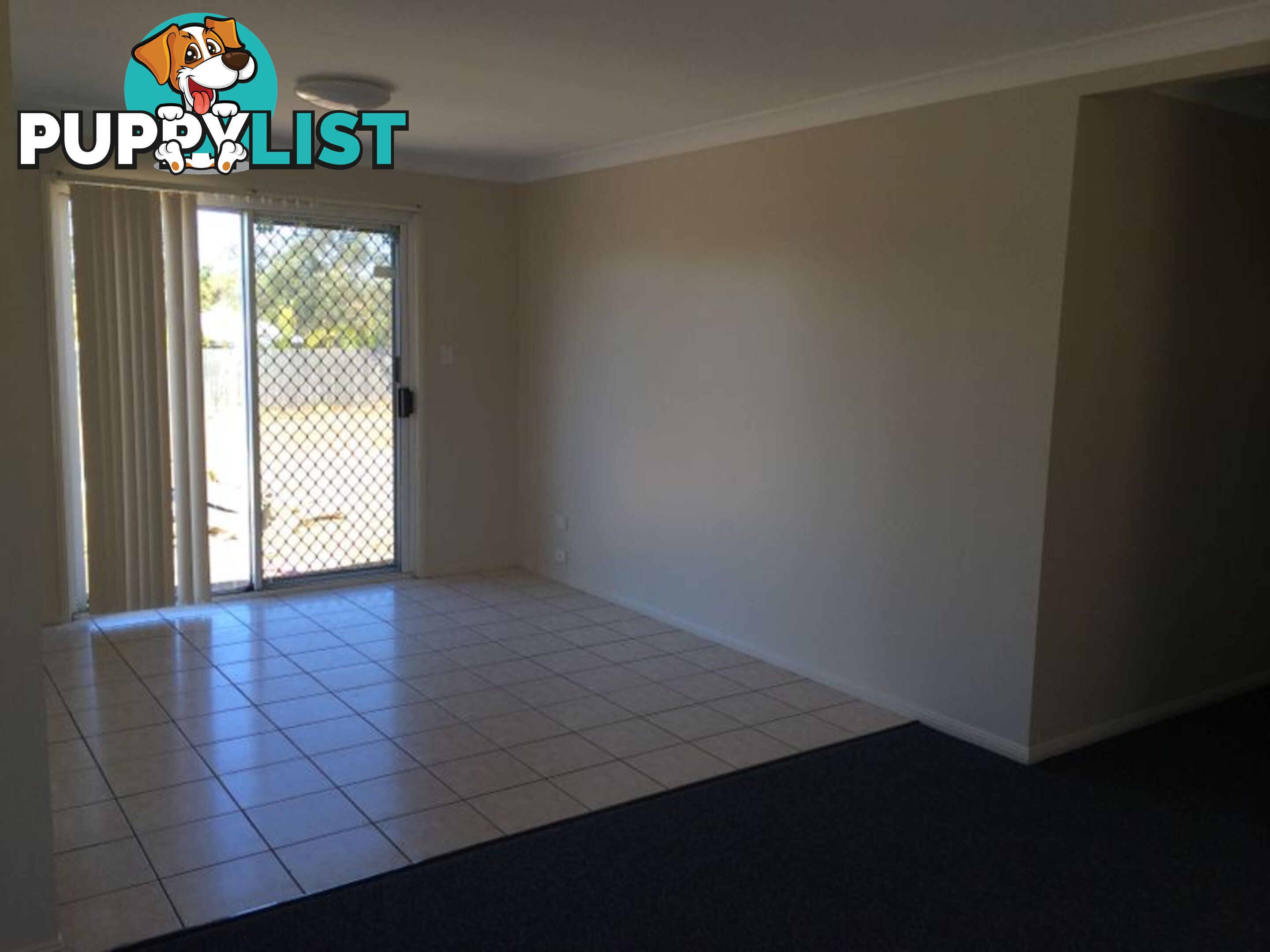 41 Streamveiw Crescent SPRINGFIELD QLD 4300