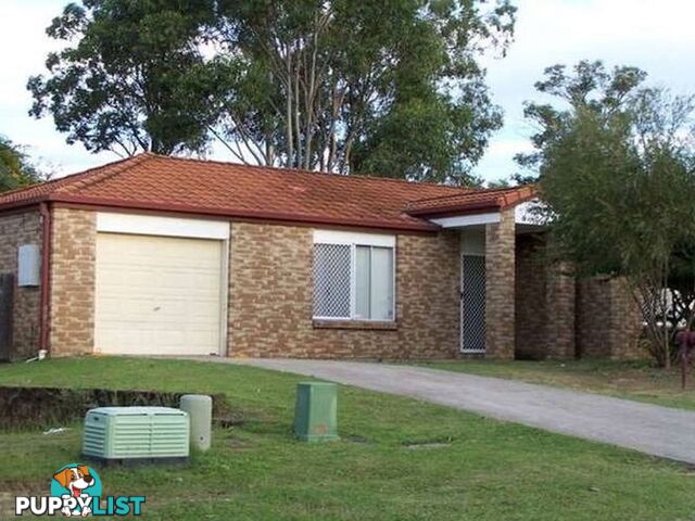 41 Streamveiw Crescent SPRINGFIELD QLD 4300