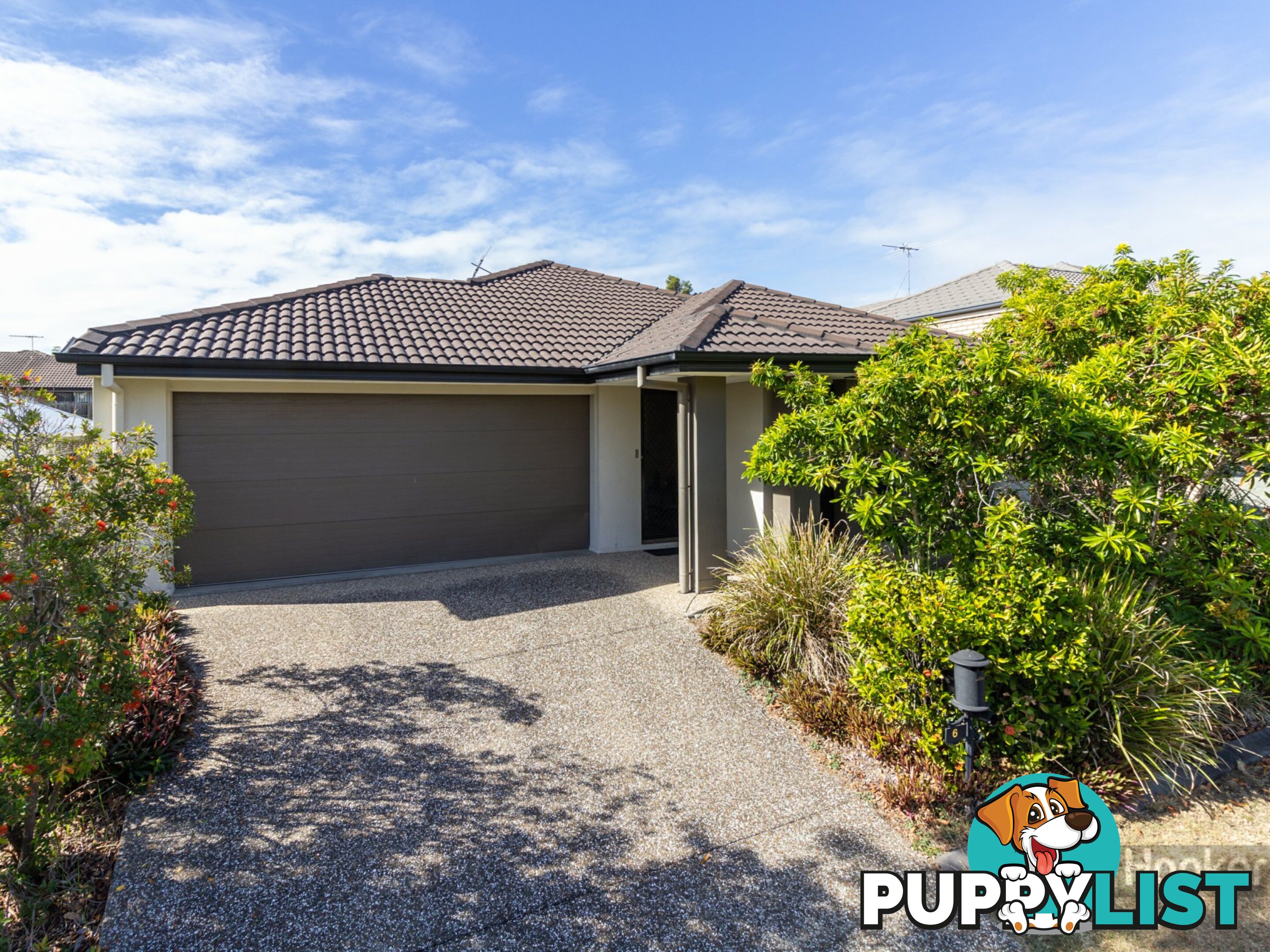 6 Cottonwood Crescent SPRINGFIELD LAKES QLD 4300