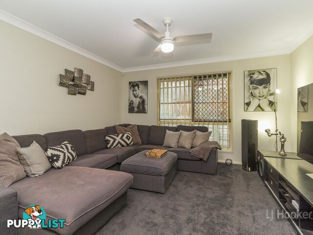 41 Hinchinbrook Circuit FOREST LAKE QLD 4078