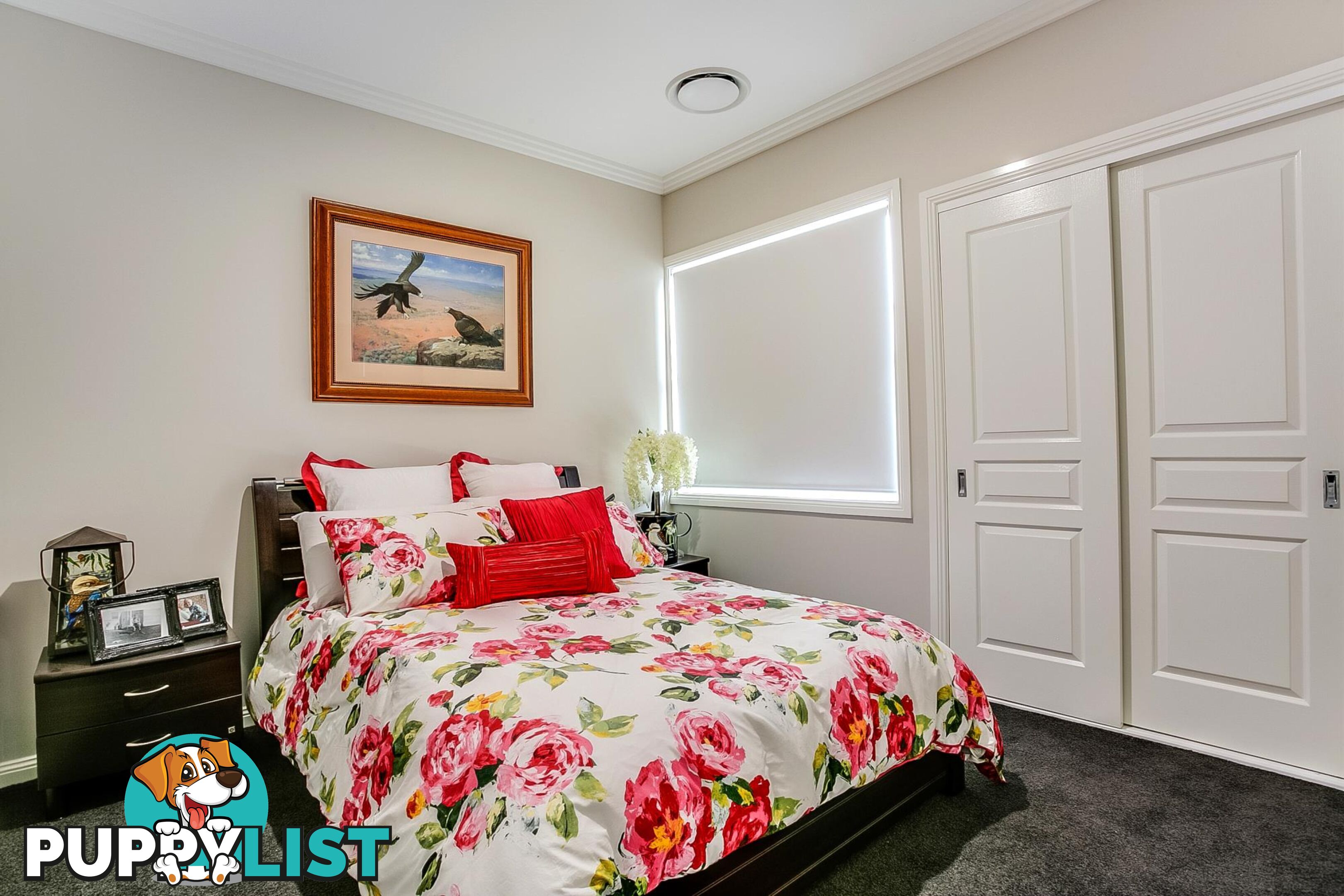 17 Balmoral Rise WILTON NSW 2571