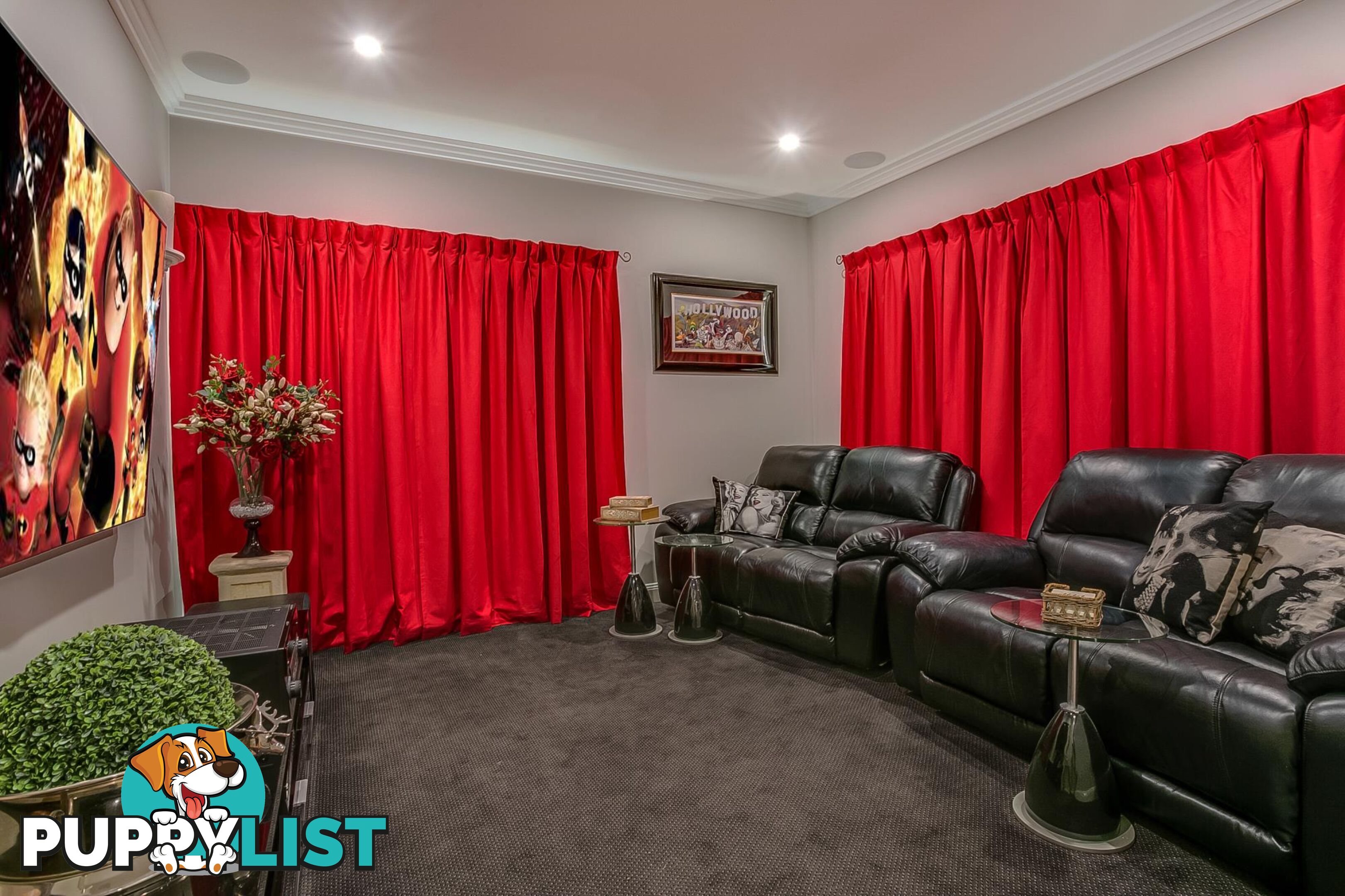 17 Balmoral Rise WILTON NSW 2571