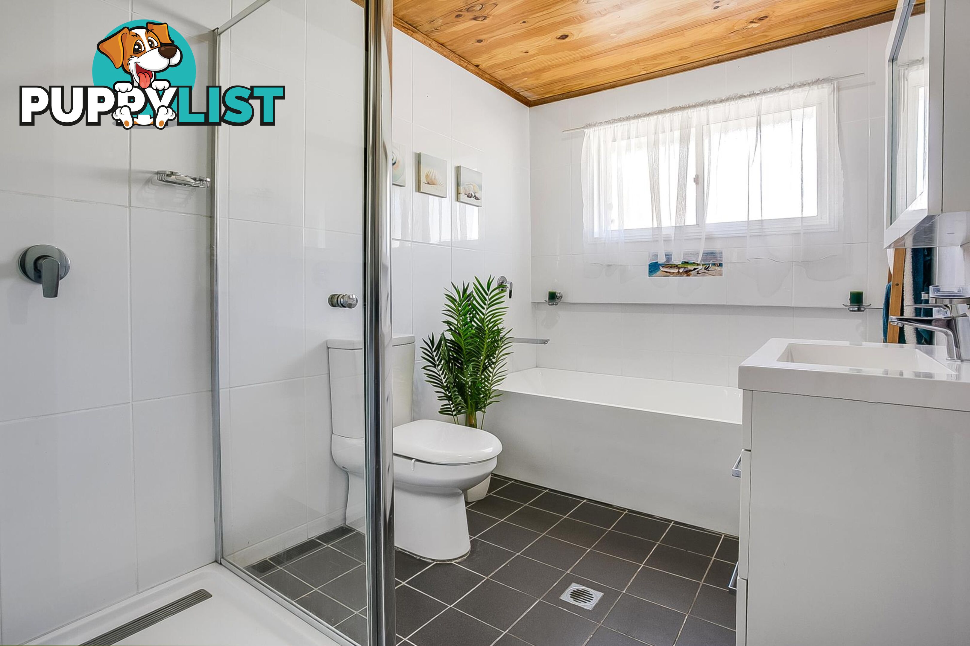 34 Coachwood Crescent PICTON NSW 2571