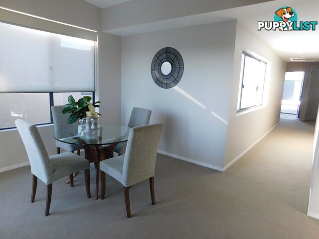 Apartment 72/437 Glendower Street GILEAD NSW 2560