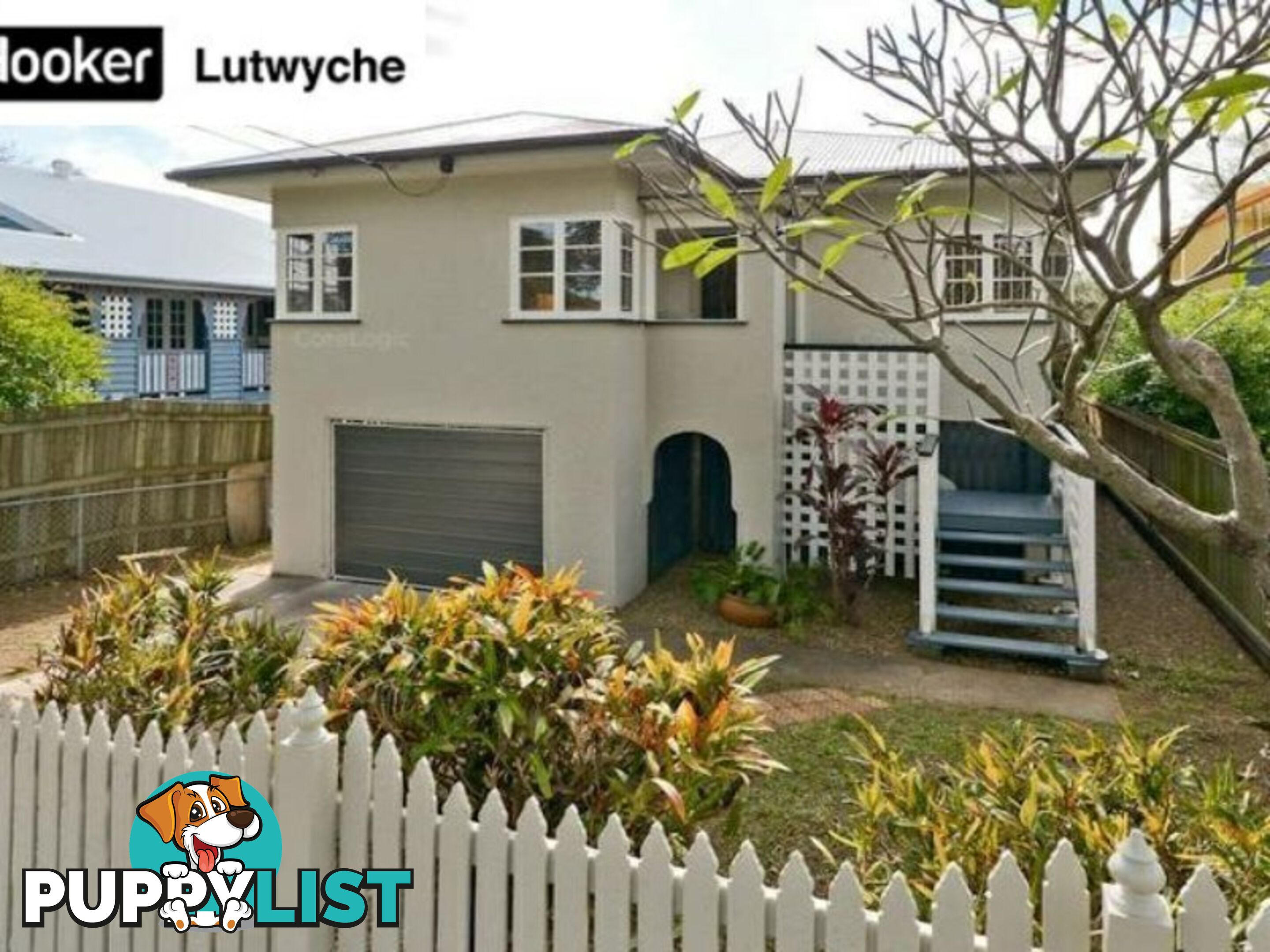 50 Jackson Street HAMILTON QLD 4007