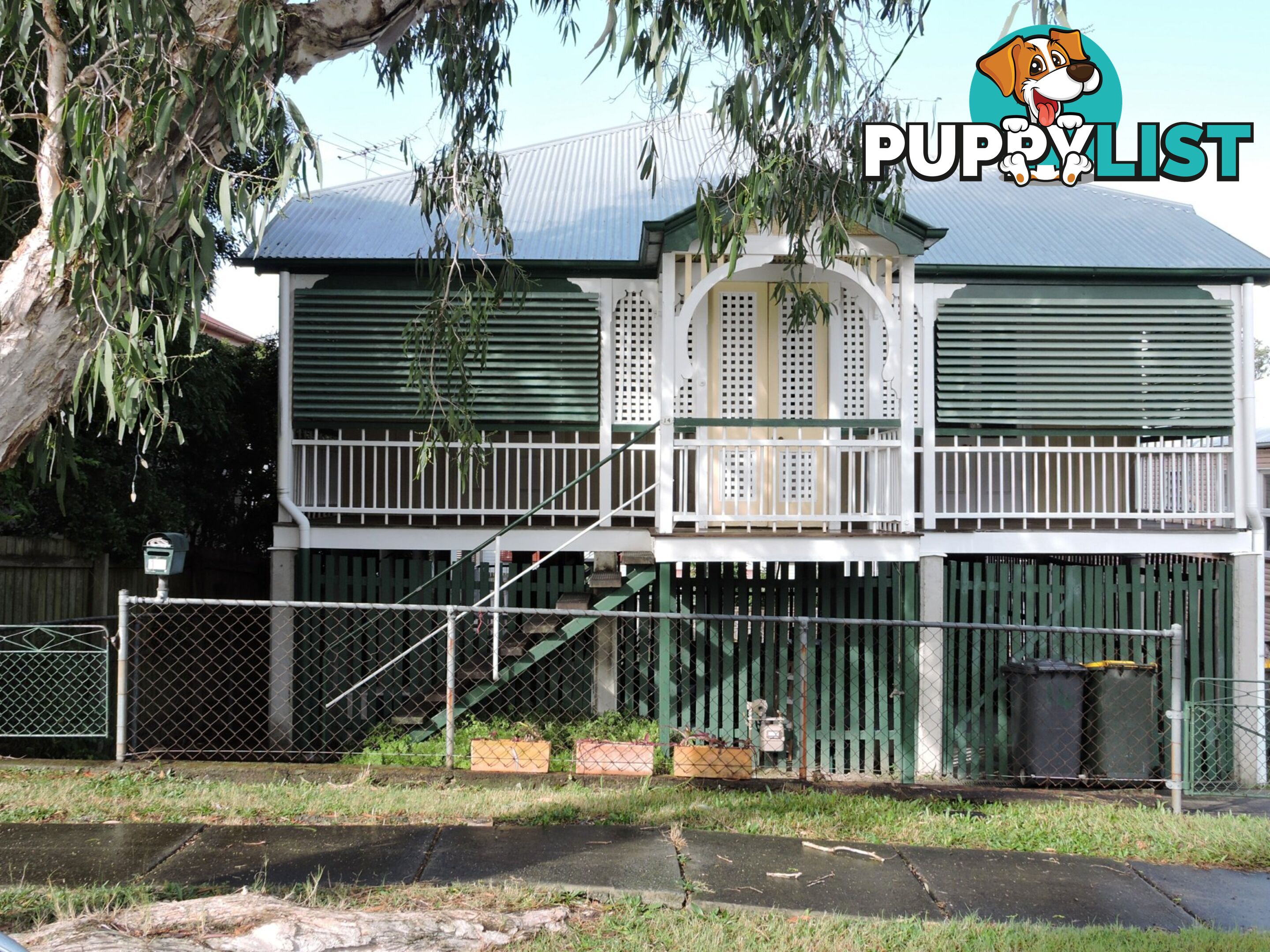 14 Kenneth Street LUTWYCHE QLD 4030