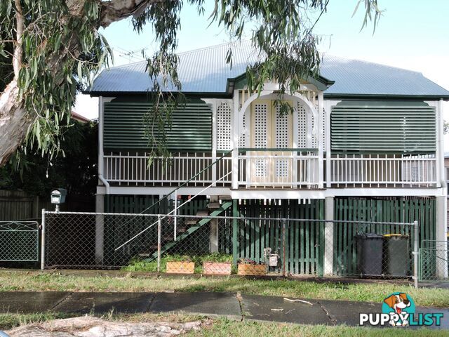 14 Kenneth Street LUTWYCHE QLD 4030