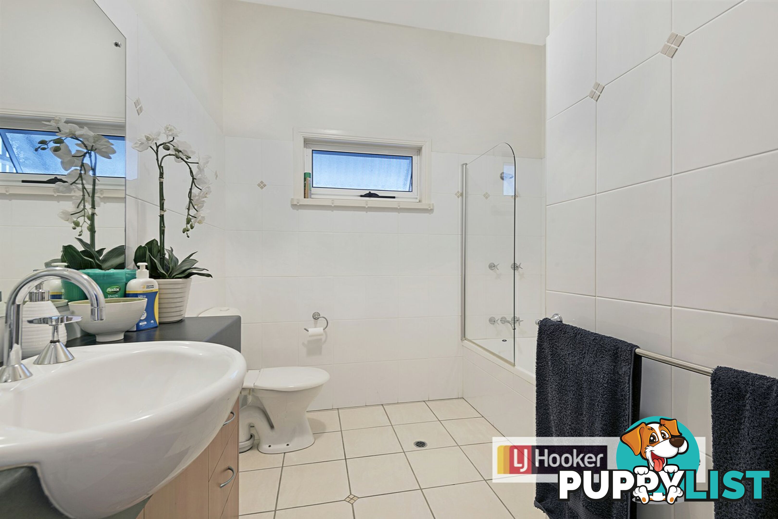 20 Plant Street ASHGROVE QLD 4060