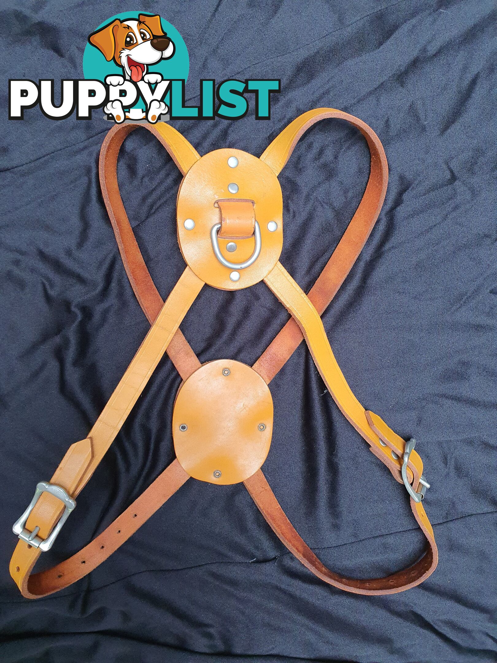 Large vintage Leather Dog Harness , new