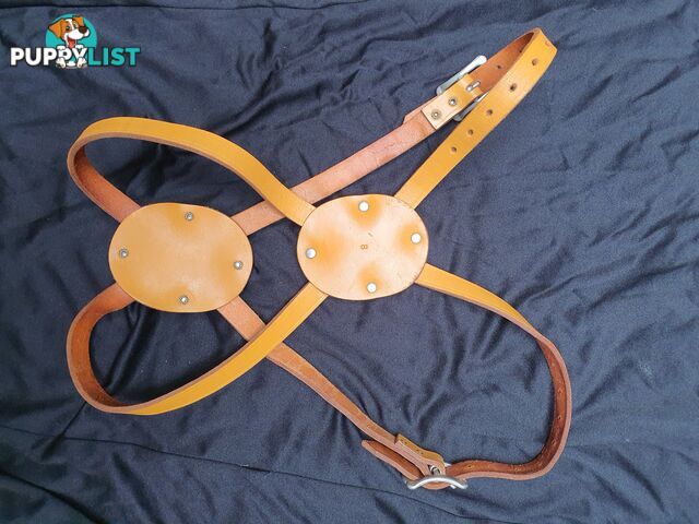 Large vintage Leather Dog Harness , new