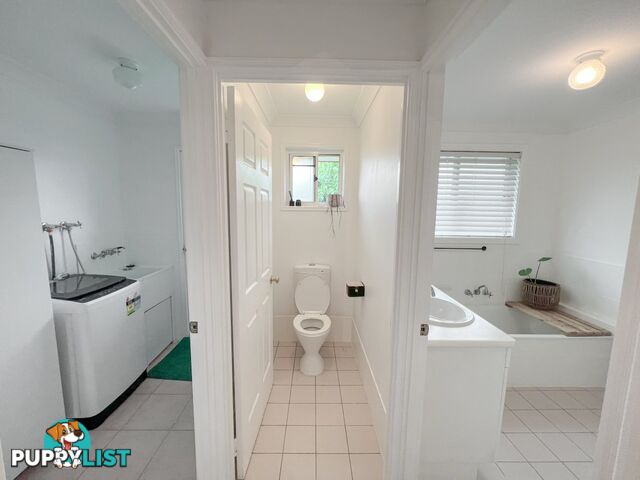 84 Jasmin Drive BONGAREE QLD 4507