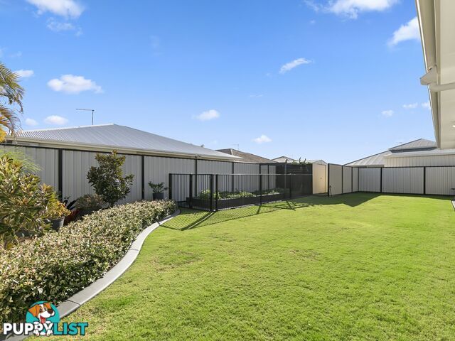 74 Pentas Drive BONGAREE QLD 4507