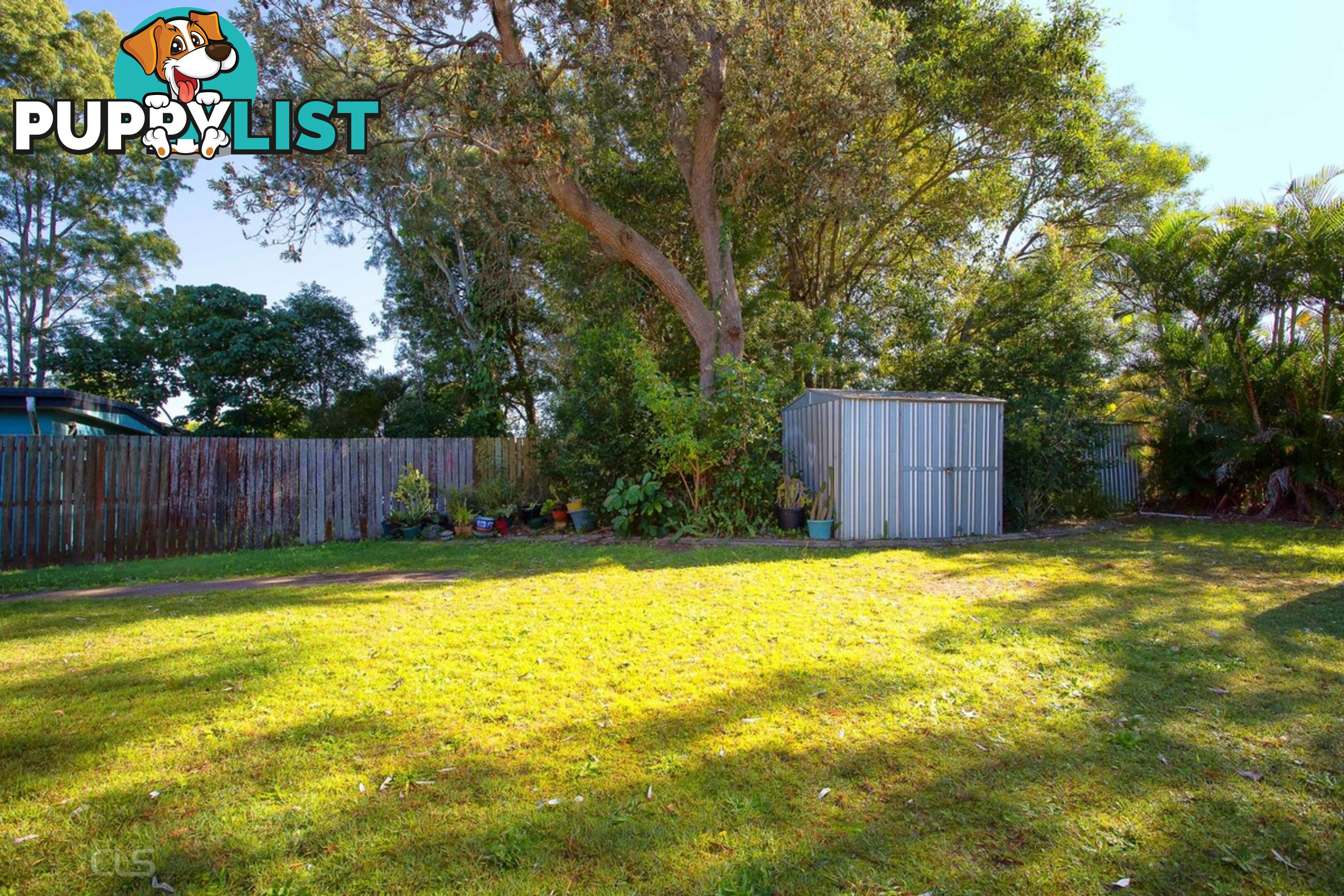 5 Lalroy Street BEACHMERE QLD 4510