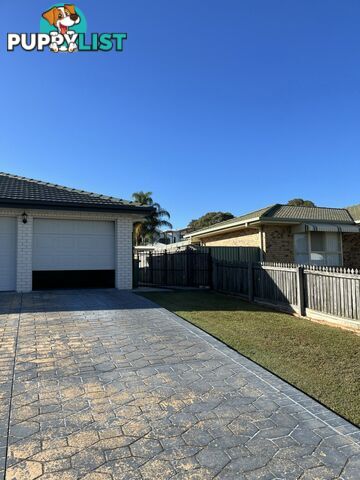 41 Carpenter Way SANDSTONE POINT QLD 4511