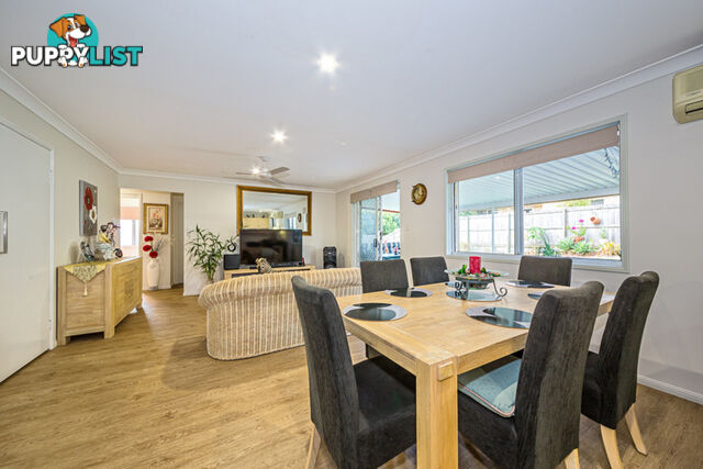 7 Albert Place SANDSTONE POINT QLD 4511