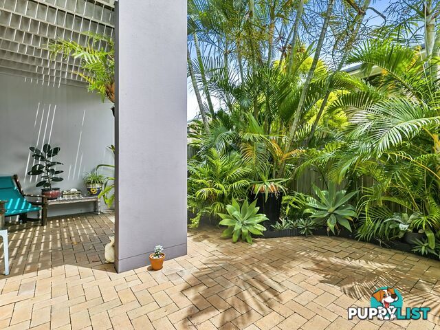 11/12-16 Kangaroo Avenue BONGAREE QLD 4507