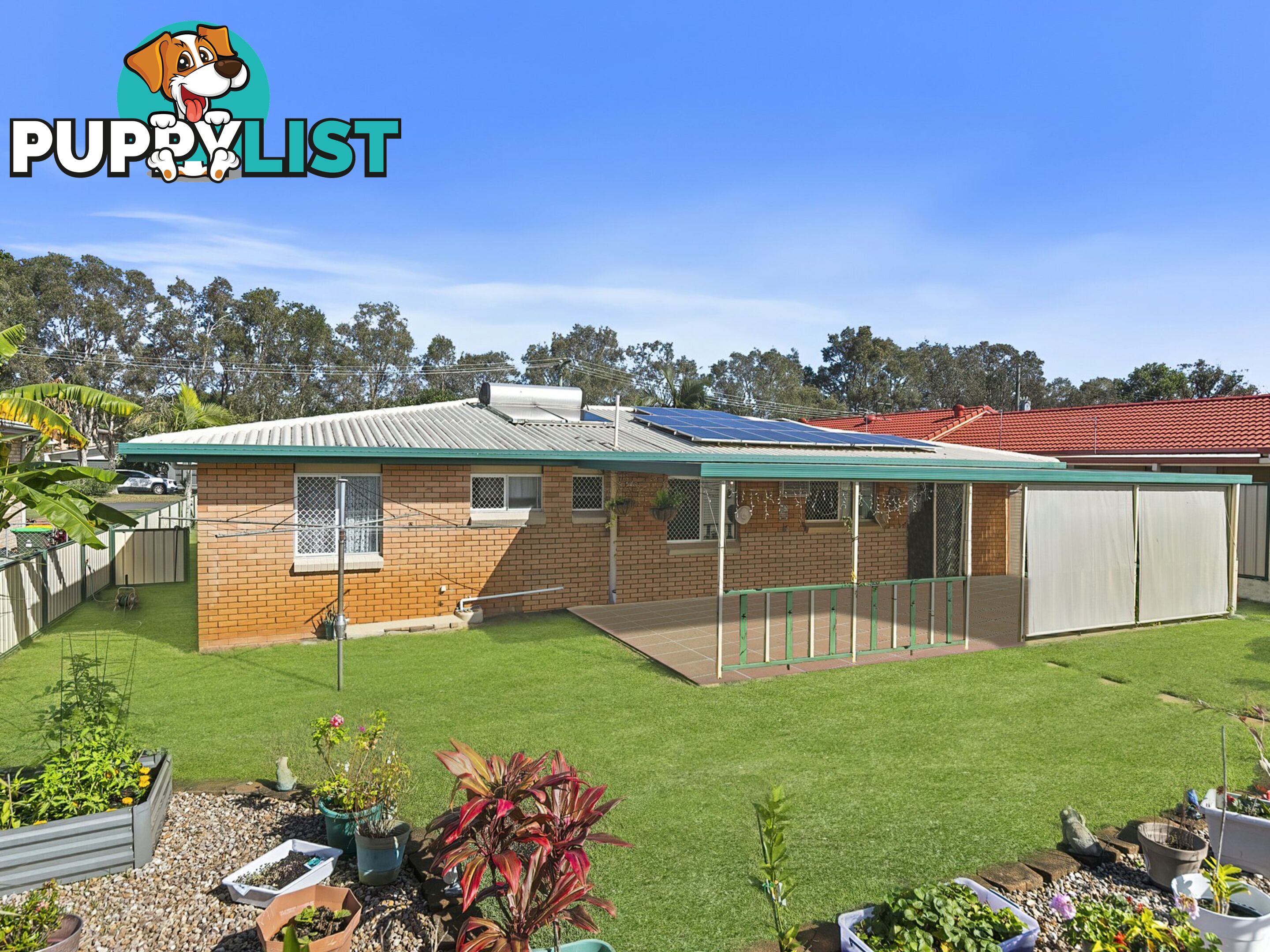53 Banya Street BONGAREE QLD 4507