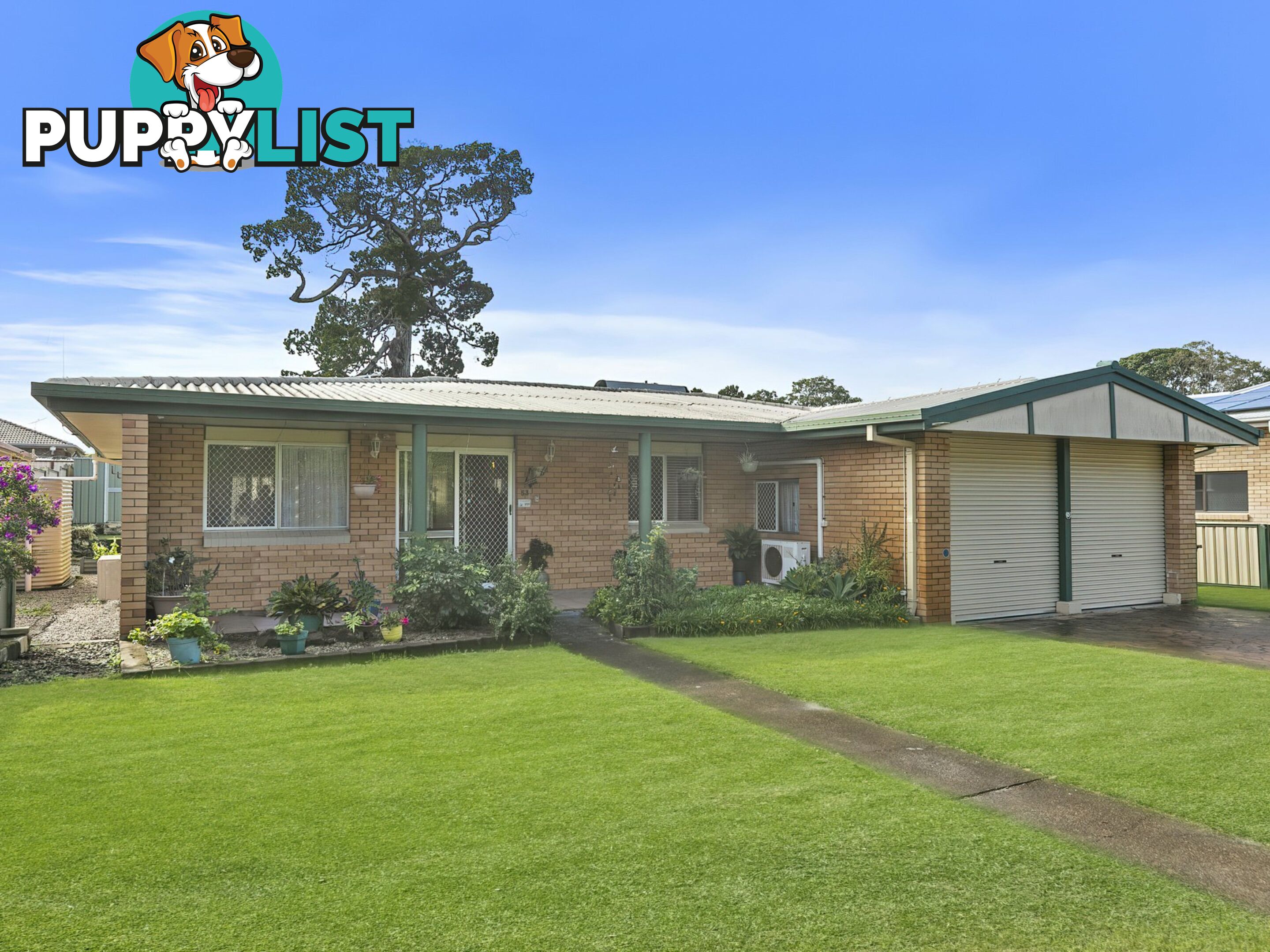 53 Banya Street BONGAREE QLD 4507