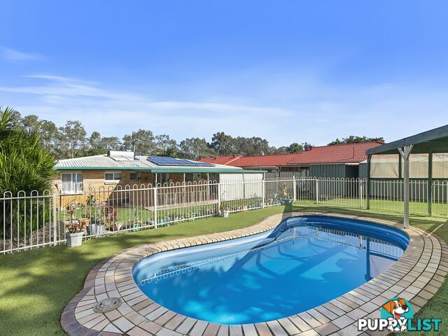 53 Banya Street BONGAREE QLD 4507