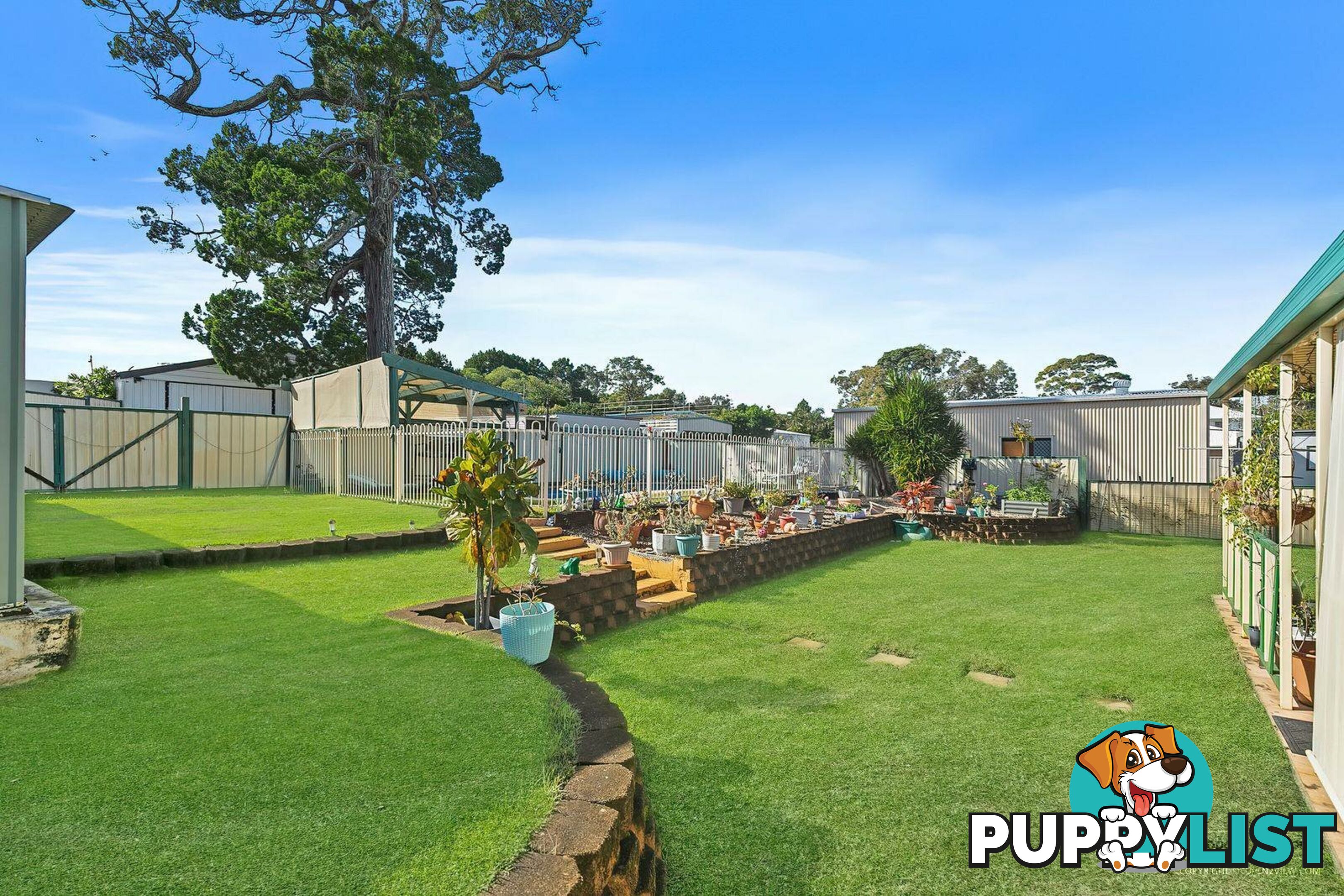 53 Banya Street BONGAREE QLD 4507