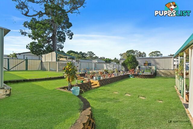 53 Banya Street BONGAREE QLD 4507