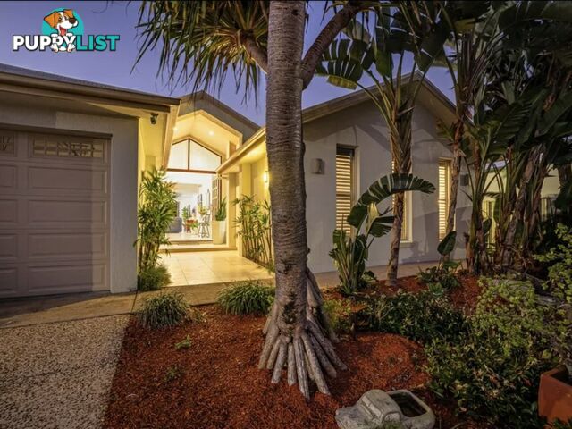 9 Alstonia Court BONGAREE QLD 4507