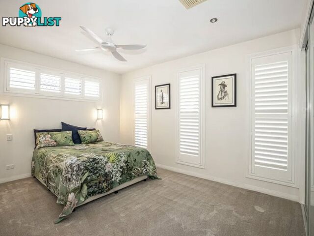 9 Alstonia Court BONGAREE QLD 4507