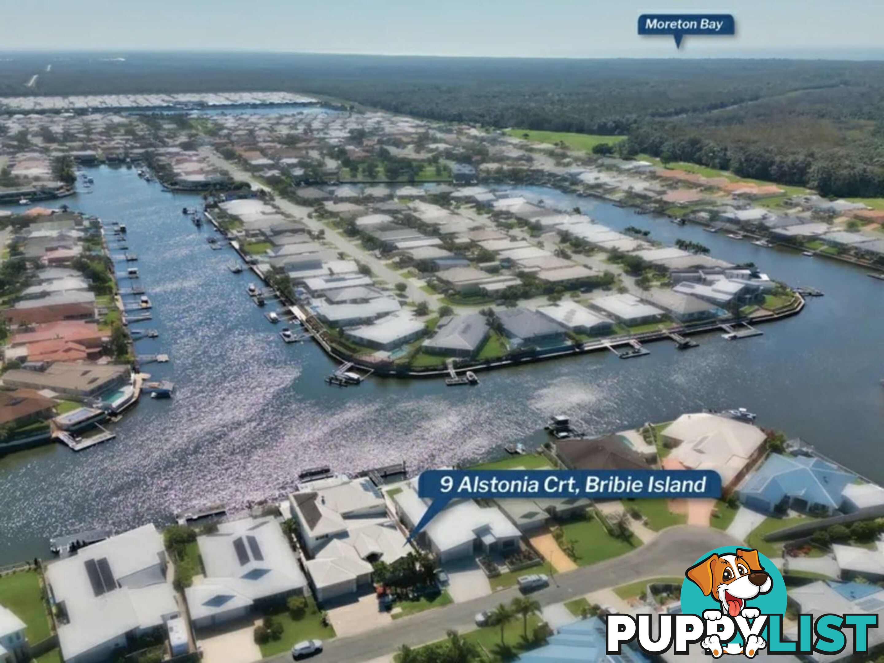 9 Alstonia Court BONGAREE QLD 4507